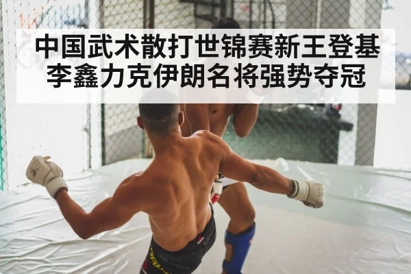 中国武术散打世锦赛新王登基李鑫力克伊朗名将强势夺冠